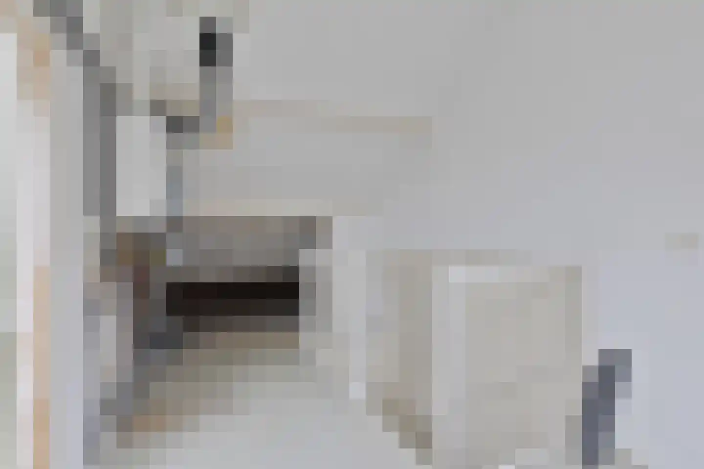 Wannedreef 39 Doetinchem thumbnail 20