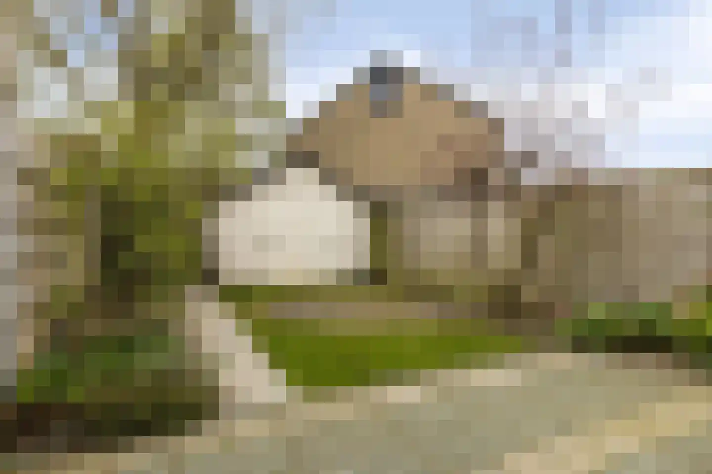 Wannedreef 39 Doetinchem thumbnail 24