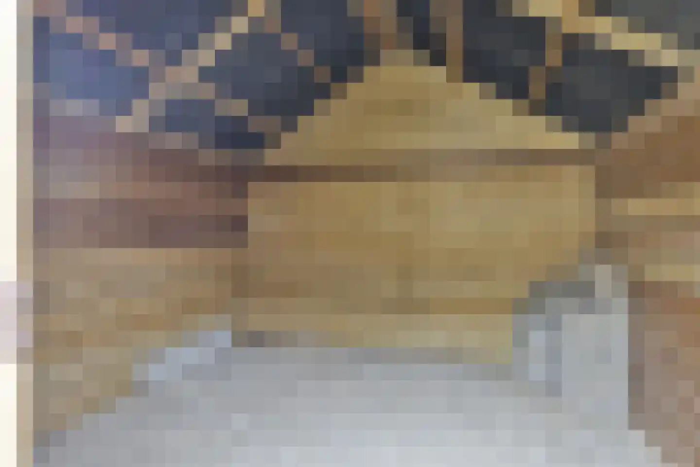 Wannedreef 39 Doetinchem thumbnail 27