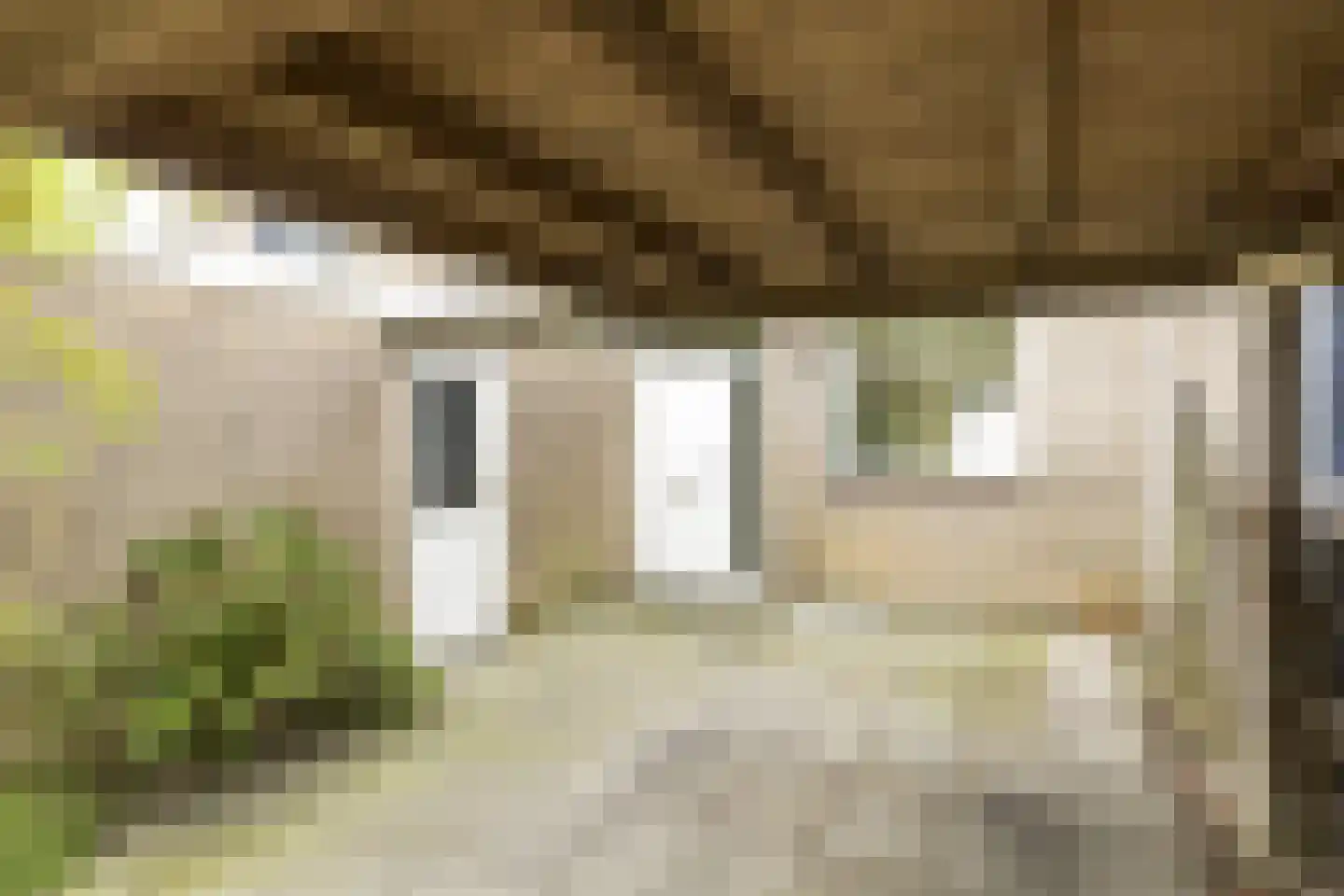Wannedreef 39 Doetinchem thumbnail 5