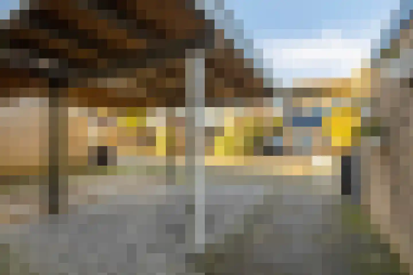 Wannedreef 55 Doetinchem thumbnail 10