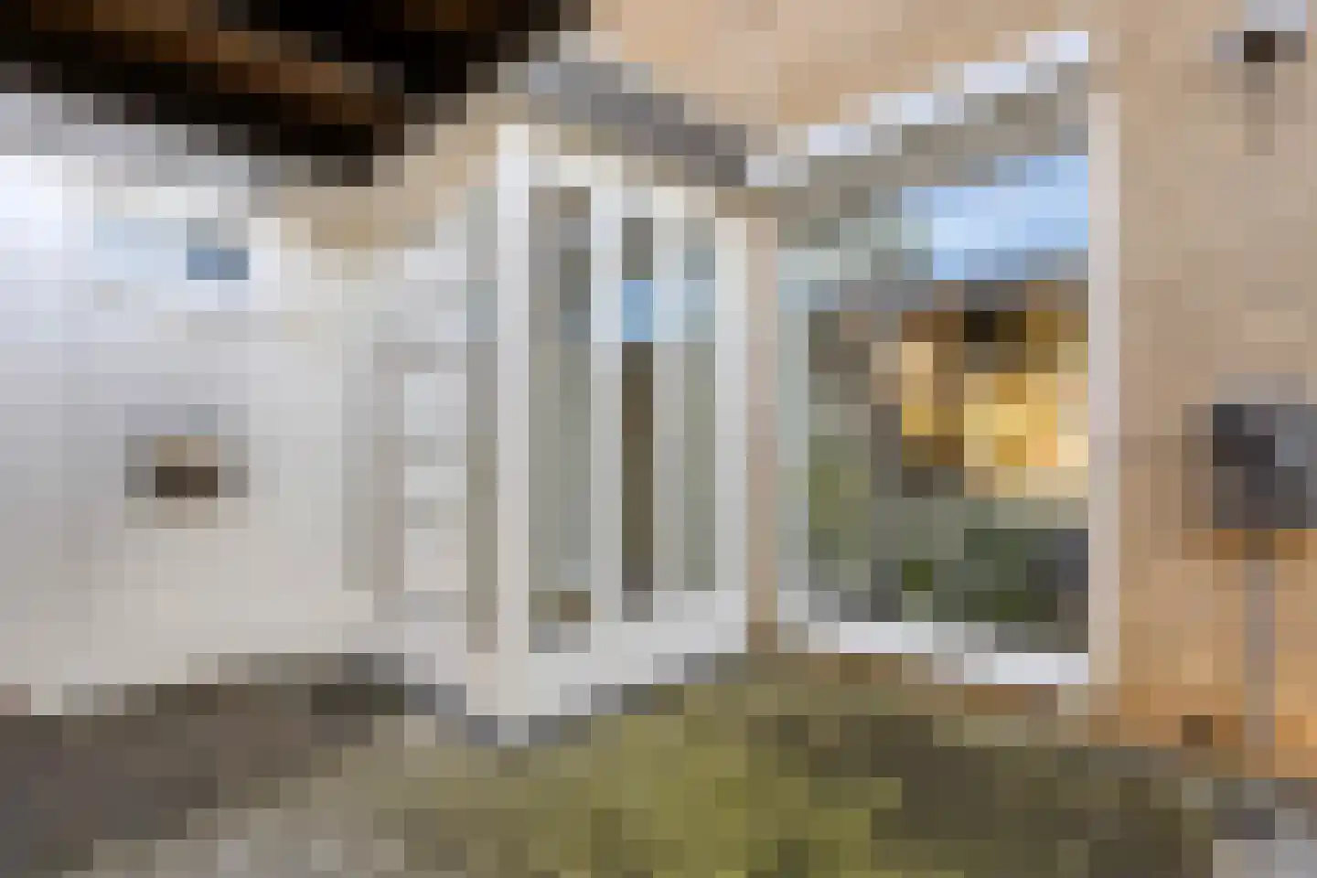 Wannedreef 55 Doetinchem thumbnail 11