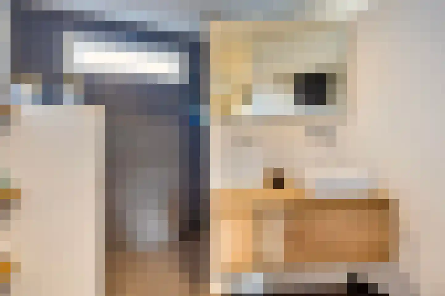 Wannedreef 55 Doetinchem thumbnail 29