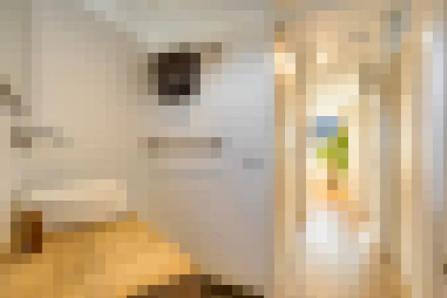 Wannedreef 55 Doetinchem thumbnail 30