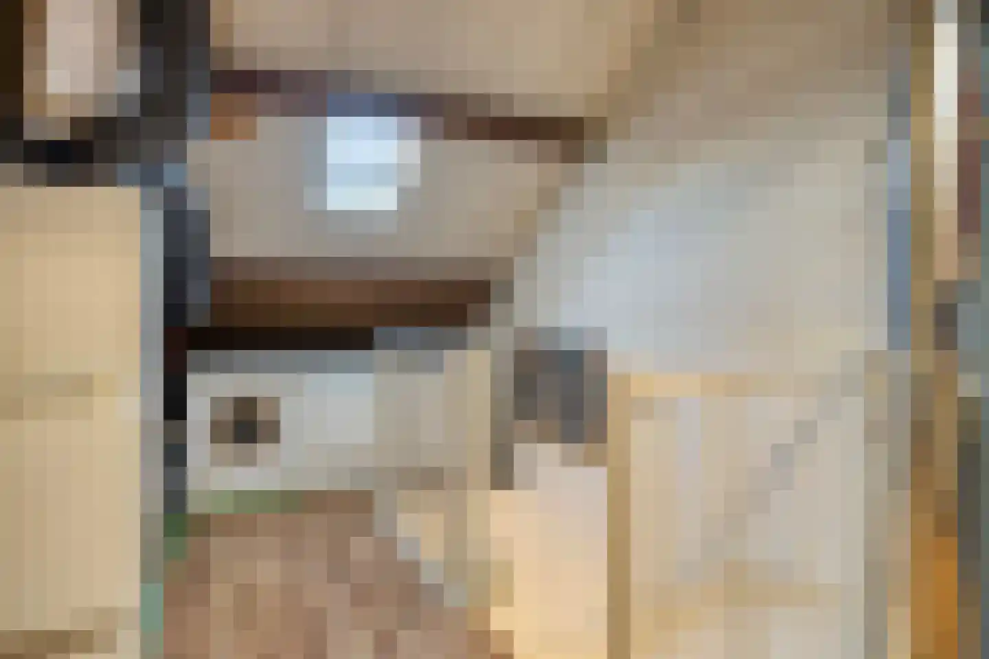 Wannedreef 55 Doetinchem thumbnail 33