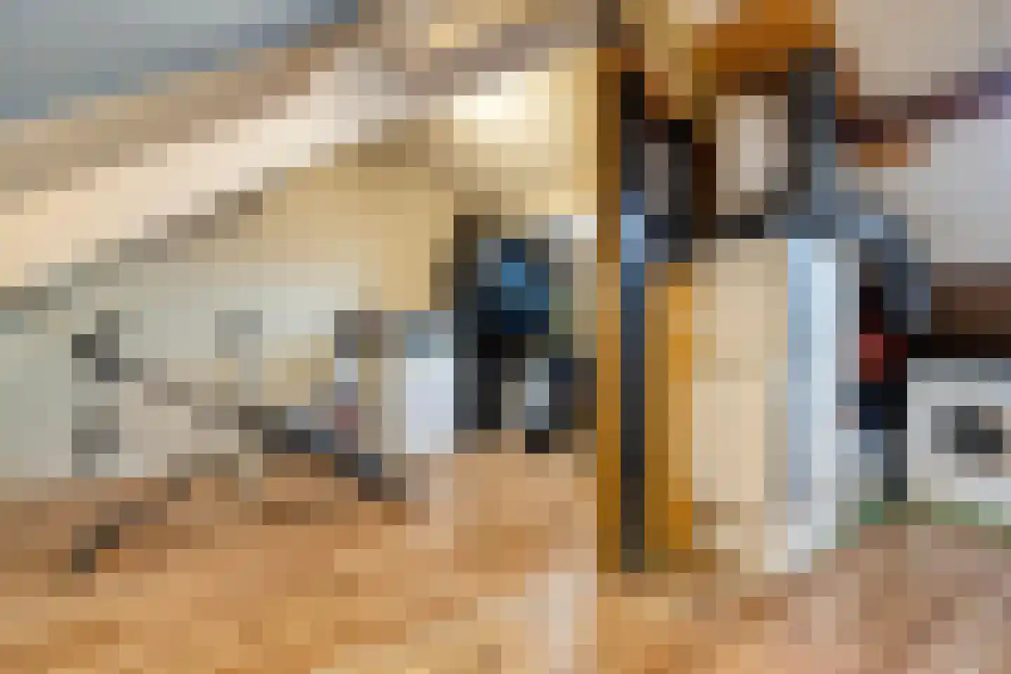 Wannedreef 55 Doetinchem thumbnail 34