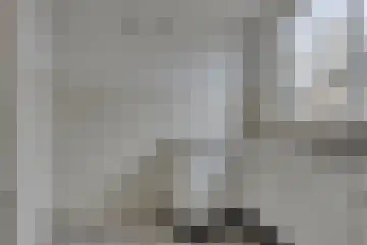 Wannedreef 75 Doetinchem thumbnail 10