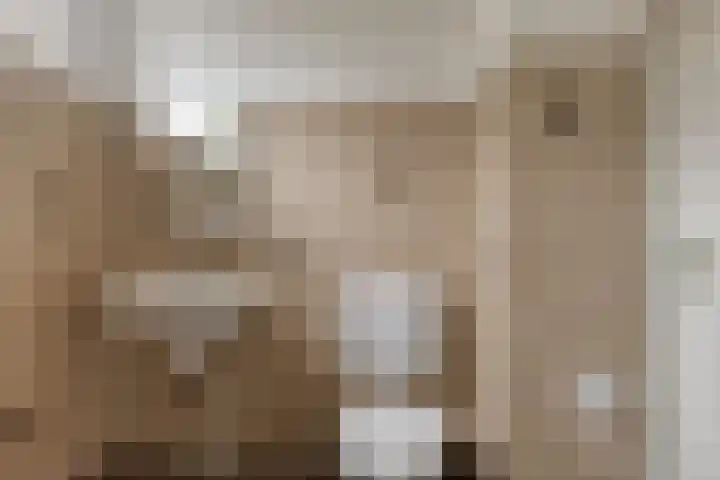 Wannedreef 75 Doetinchem thumbnail 16