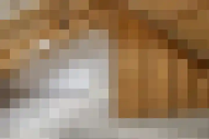 Wannedreef 75 Doetinchem thumbnail 18