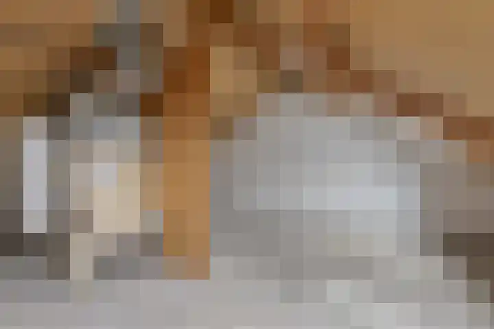 Wannedreef 75 Doetinchem thumbnail 19