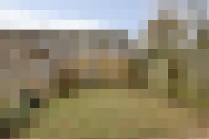 Wannedreef 75 Doetinchem thumbnail 21