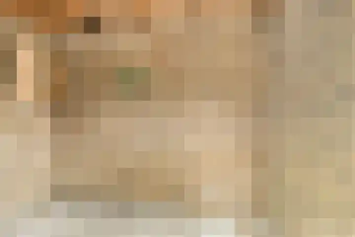 Wannedreef 75 Doetinchem thumbnail 22