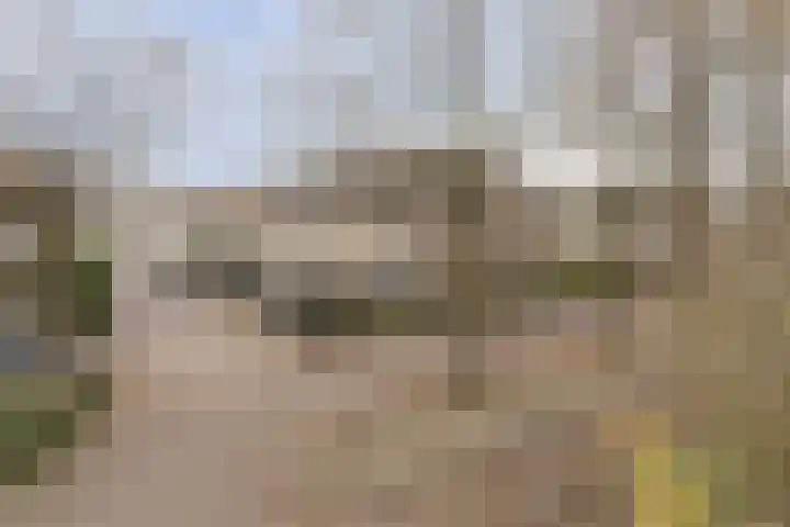Wannedreef 75 Doetinchem thumbnail 23