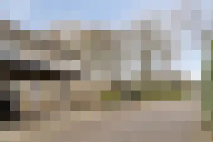Wannedreef 75 Doetinchem thumbnail 24