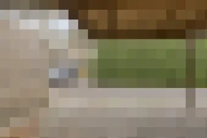 Wannedreef 75 Doetinchem thumbnail 4