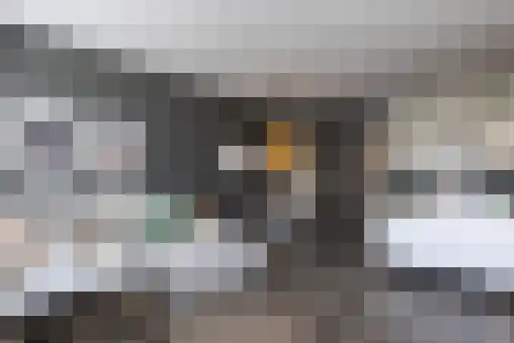 Wannerplein 56 Heerlen thumbnail 19
