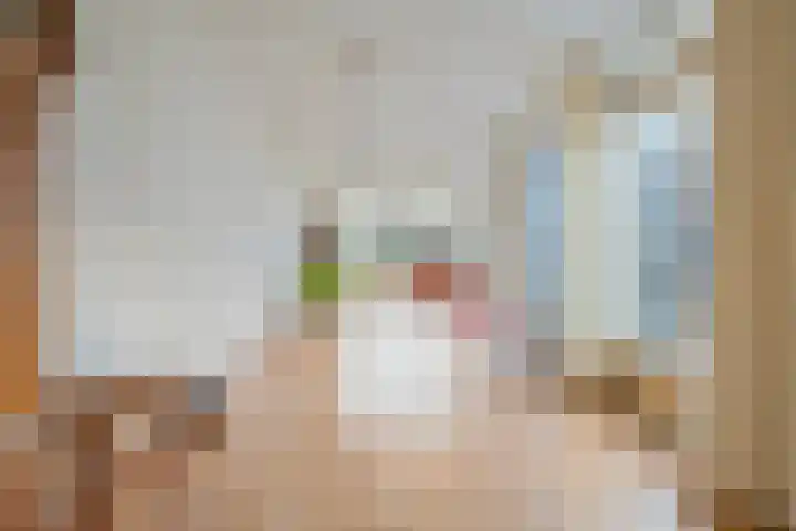 Wanningstraat 223 Zwolle thumbnail 19
