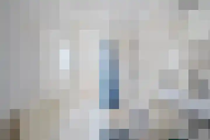Wanningstraat 223 Zwolle thumbnail 31