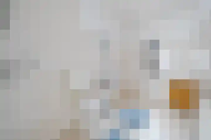 Wanningstraat 223 Zwolle thumbnail 32