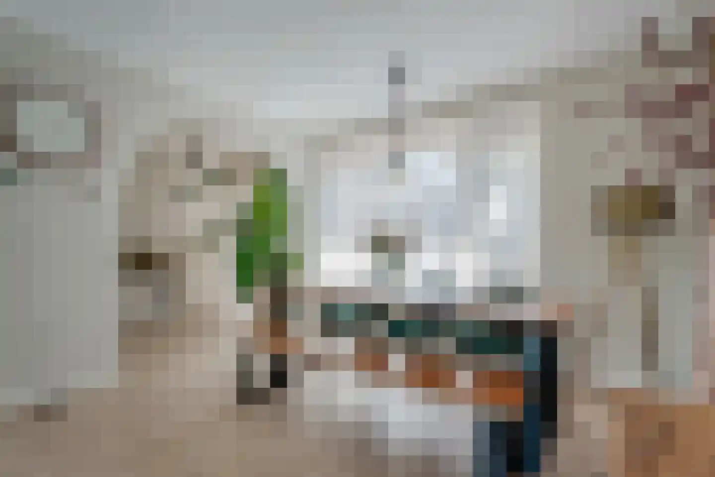 Wanningstraat 86 Zwolle thumbnail 19