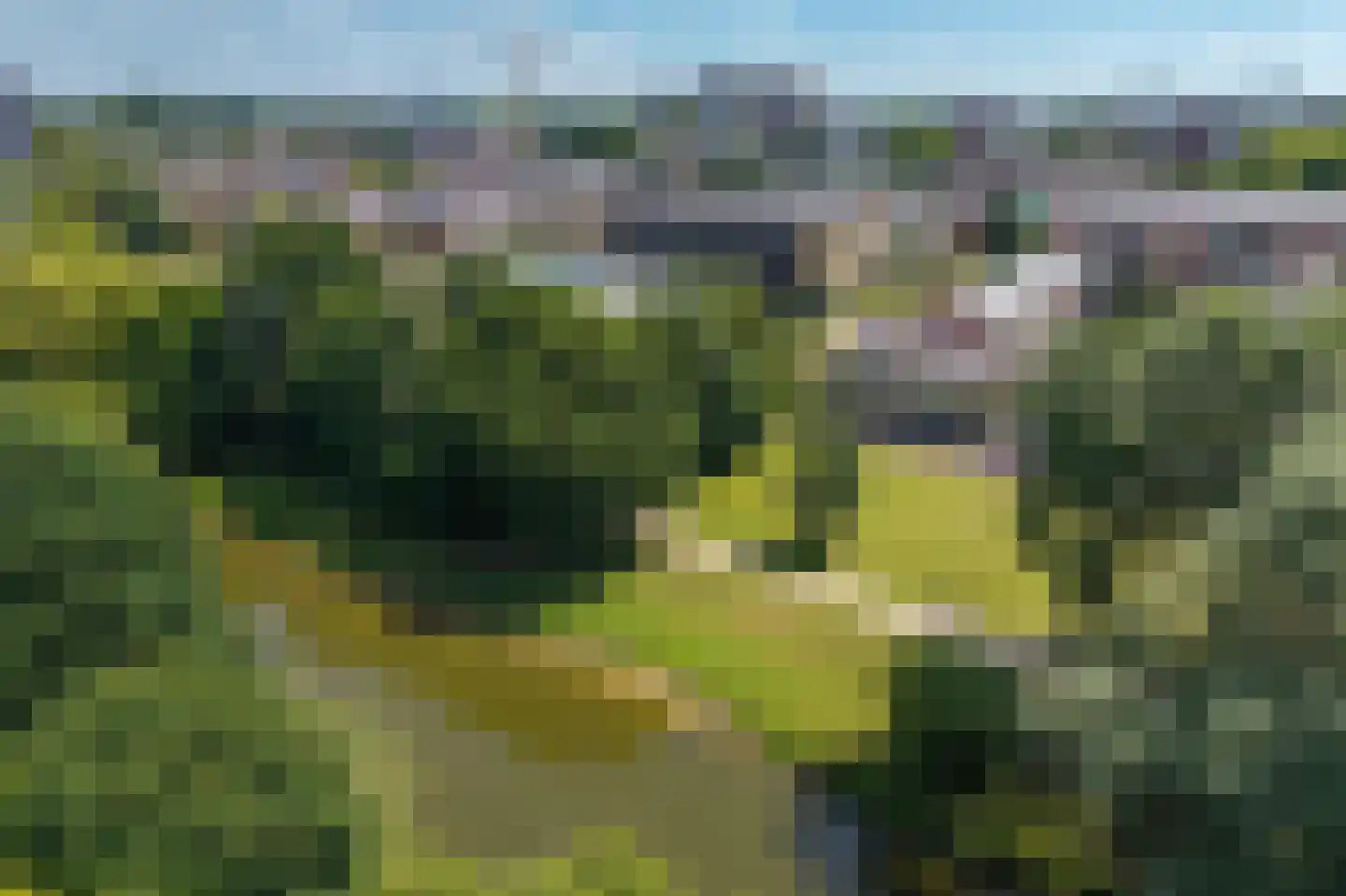 Wanningstraat 86 Zwolle thumbnail 41