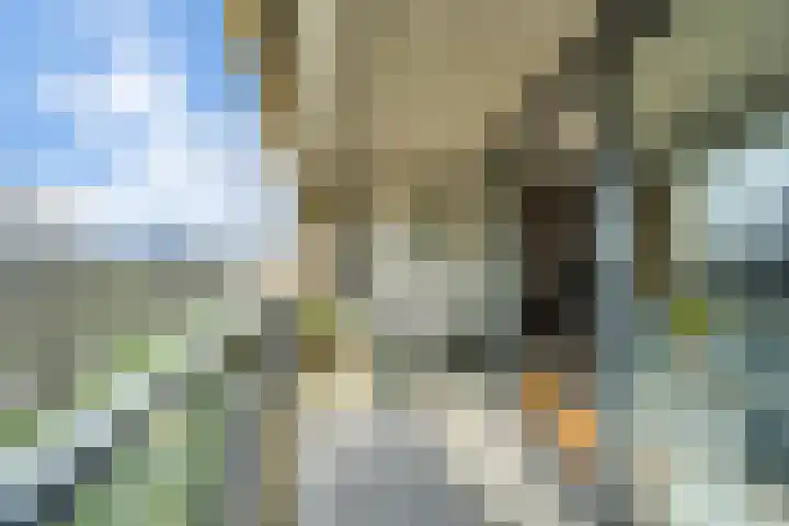 Wanninkhoflaan 85 Utrecht thumbnail 16