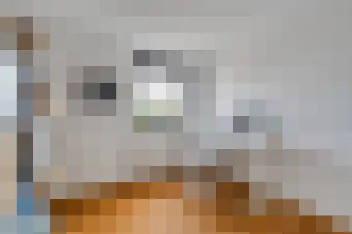 Wanninkhoflaan 85 Utrecht thumbnail 31