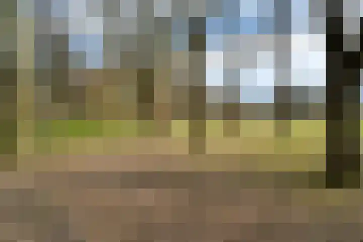 Wanninkhoflaan 85 Utrecht thumbnail 44