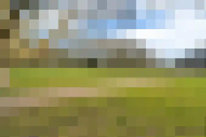 Wanninkhoflaan 85 Utrecht thumbnail 45