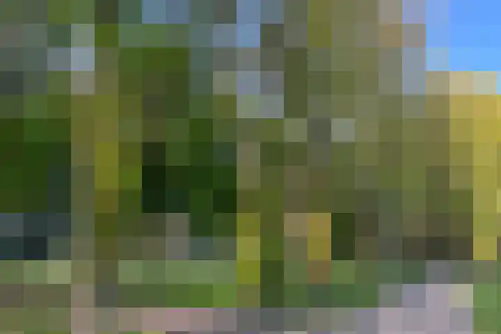 Wanninkhoflaan 85 Utrecht thumbnail 47