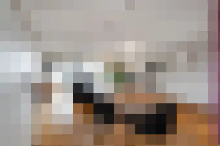 Wanninkhoflaan 85 Utrecht thumbnail 5