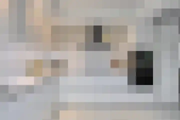 Wanninksakker 6 Deventer thumbnail 19