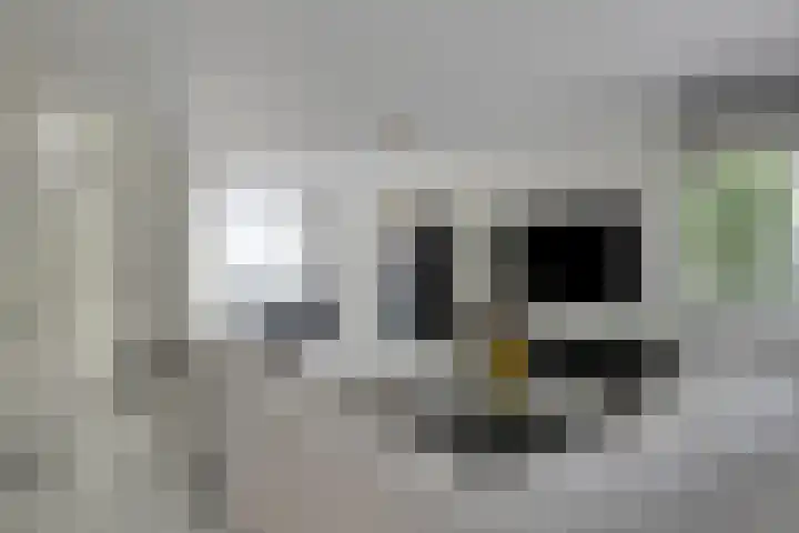 Wanninksakker 6 Deventer foto 2