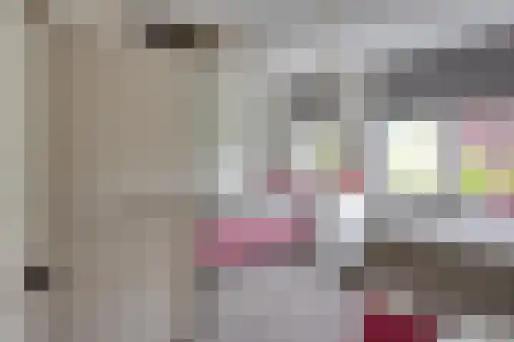 Wanninksakker 6 Deventer thumbnail 25