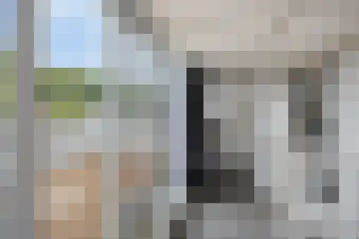 Wanninksakker 6 Deventer thumbnail 30