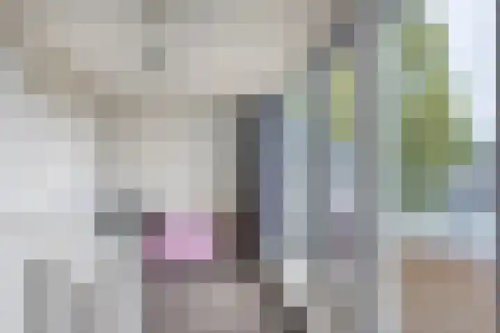 Wanninksakker 6 Deventer thumbnail 31