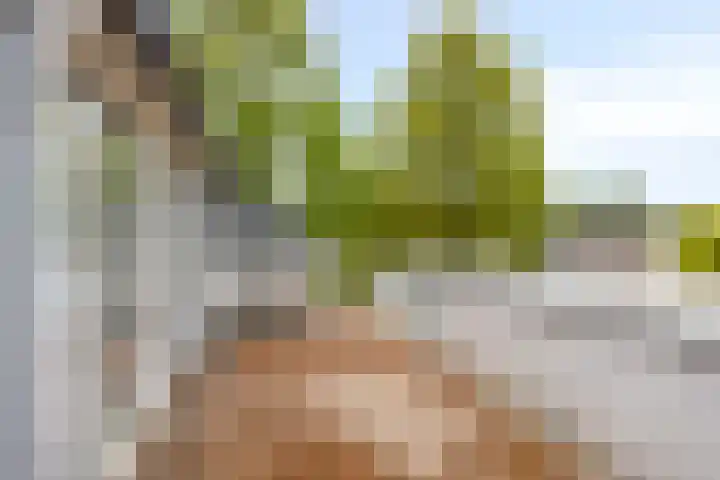 Wanninksakker 6 Deventer thumbnail 34