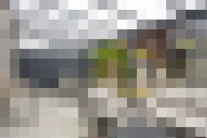 Wanninksakker 6 Deventer thumbnail 35