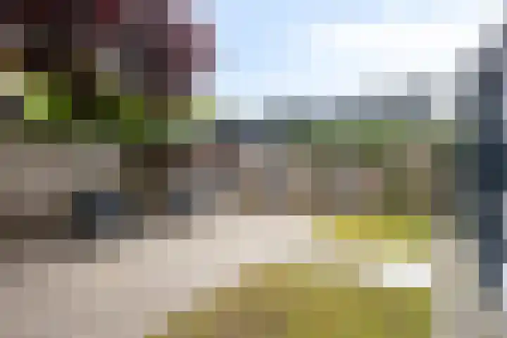 Wanninksakker 6 Deventer thumbnail 40