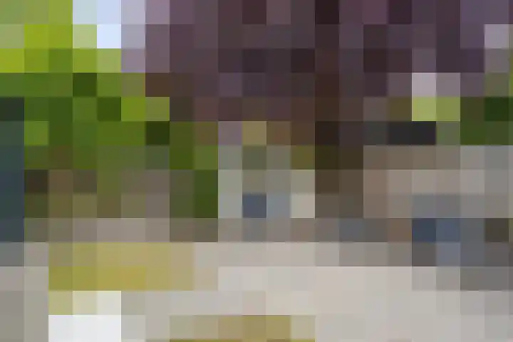 Wanninksakker 6 Deventer thumbnail 41
