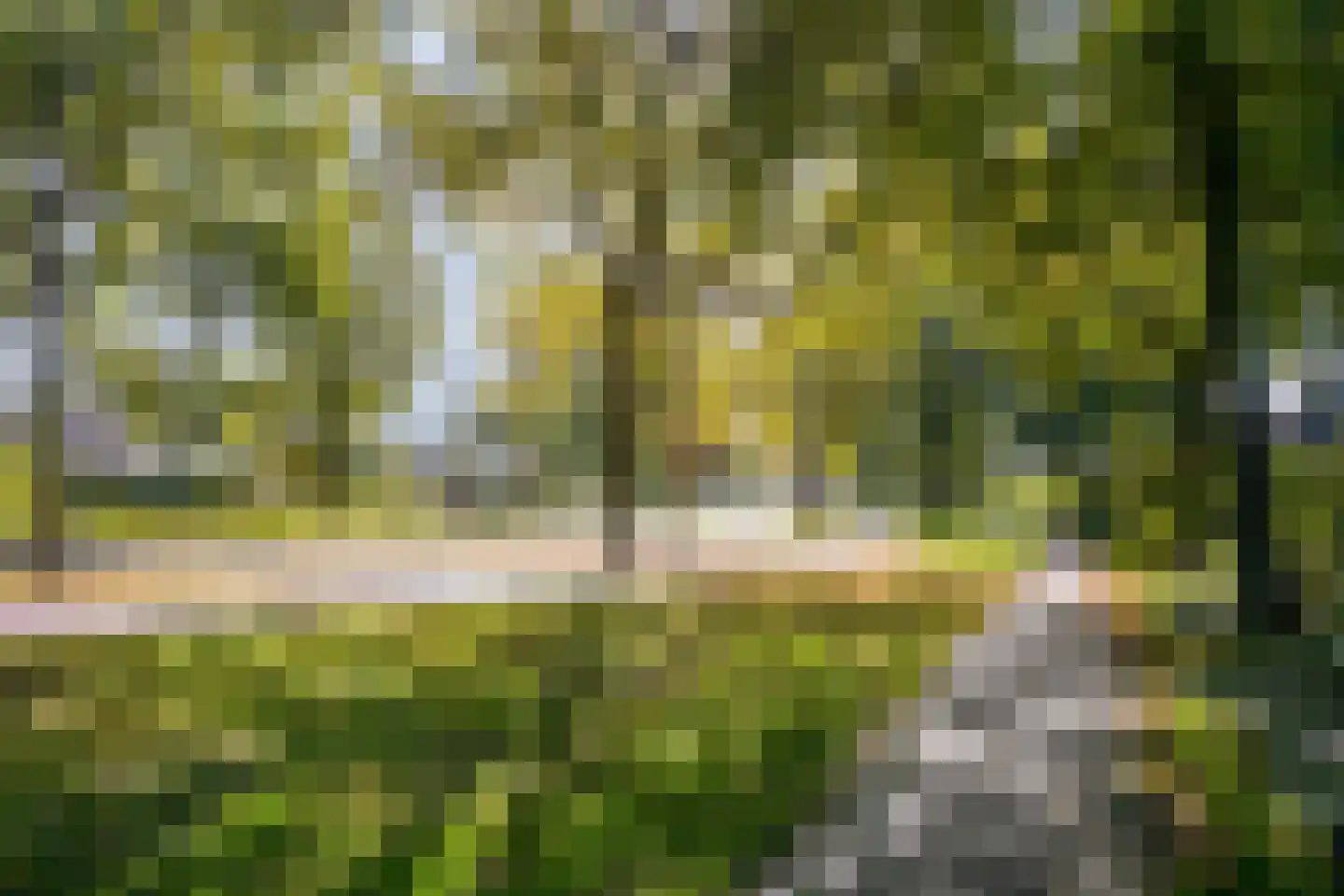 Wanroijhof 21 Arnhem thumbnail 48