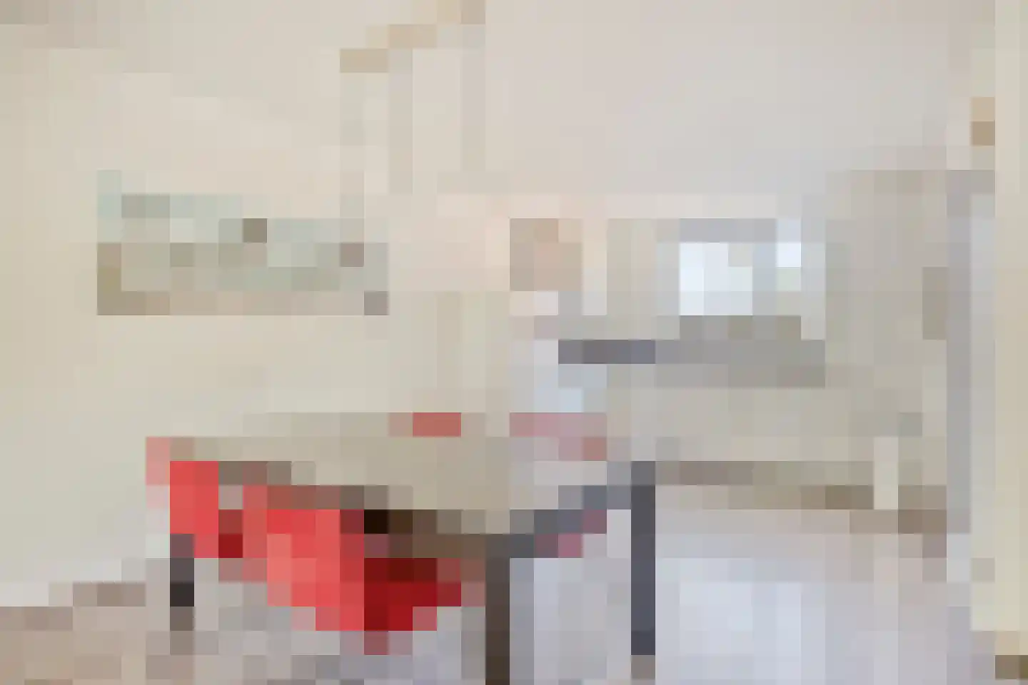Wanroijhof 21 Arnhem thumbnail 6