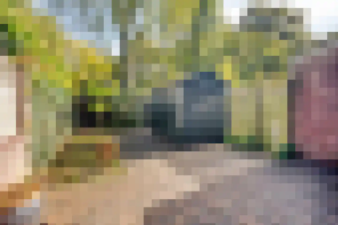 Wanroijhof 21 Arnhem thumbnail 8