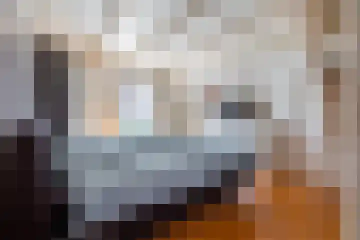 Wanroijseweg 30 Mill thumbnail 18