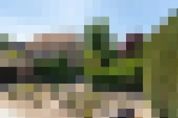 Wanroijseweg 30 Mill thumbnail 27