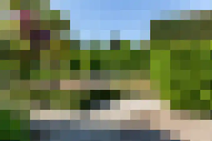 Wanroijseweg 30 Mill thumbnail 32