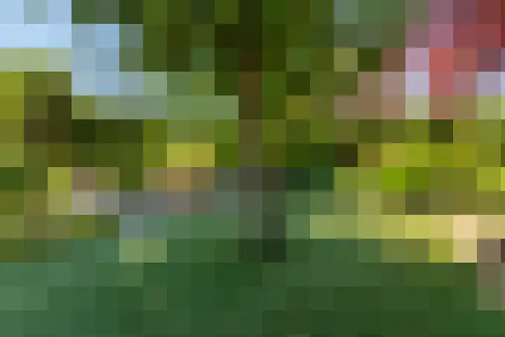 Wanroijseweg 30 Mill thumbnail 35