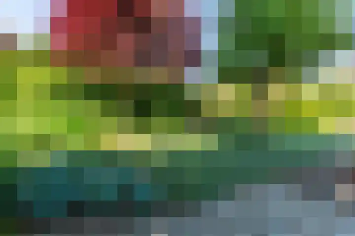 Wanroijseweg 30 Mill thumbnail 5