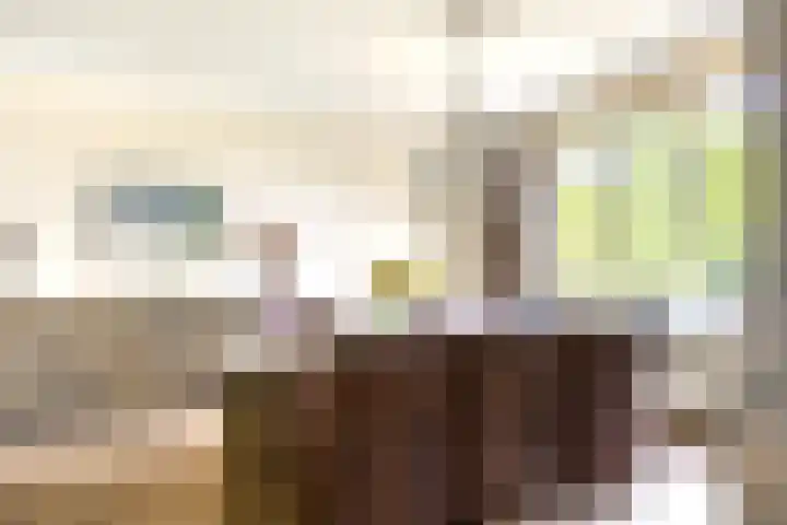 Wanroijseweg 59 Mill thumbnail 10