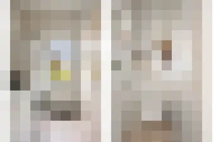 Wanroijseweg 59 Mill thumbnail 12